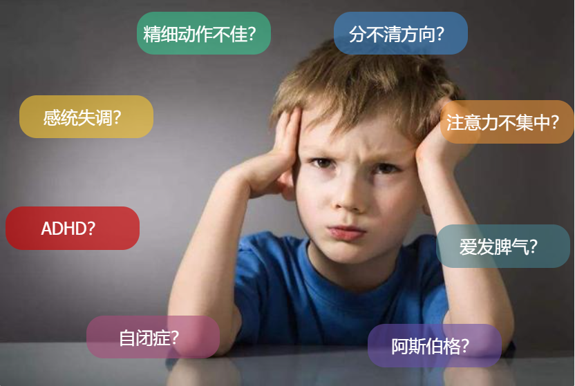 感统测评展示图